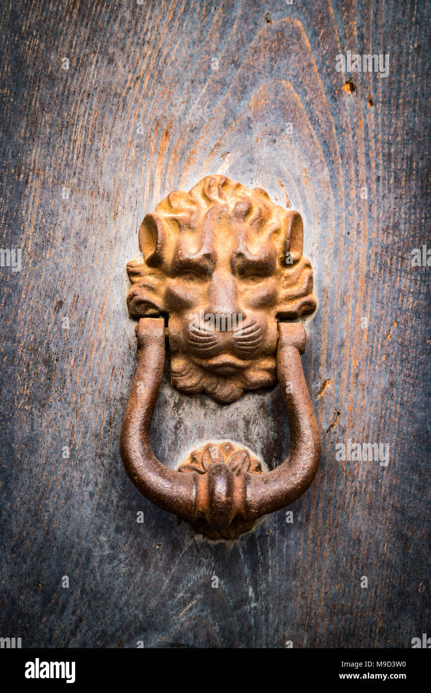 Antique Door Knocker Shaped Like A Golden Lion S Head Stock Photo