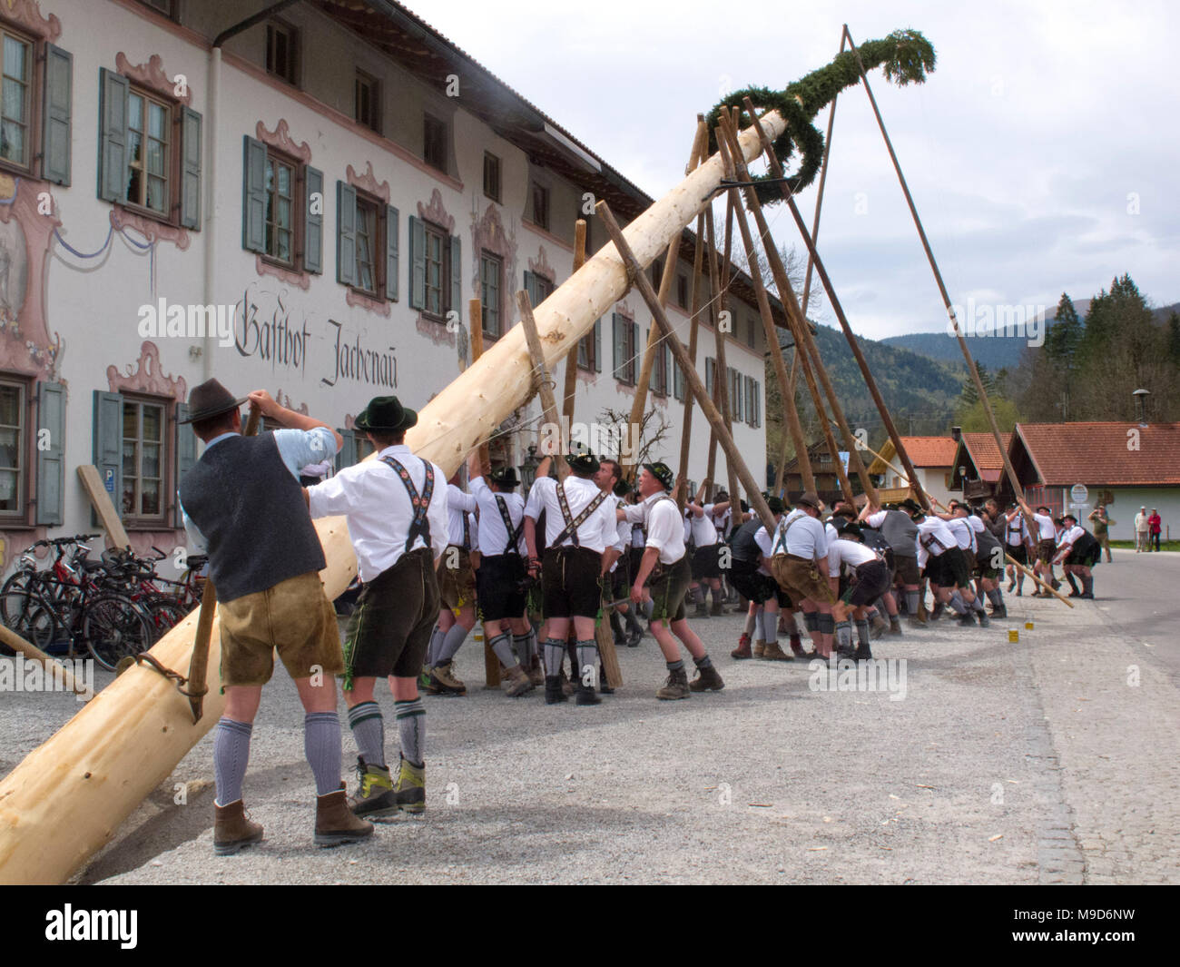 Maibaum aufstellen in der Jachenau als Tradition Stock Photo