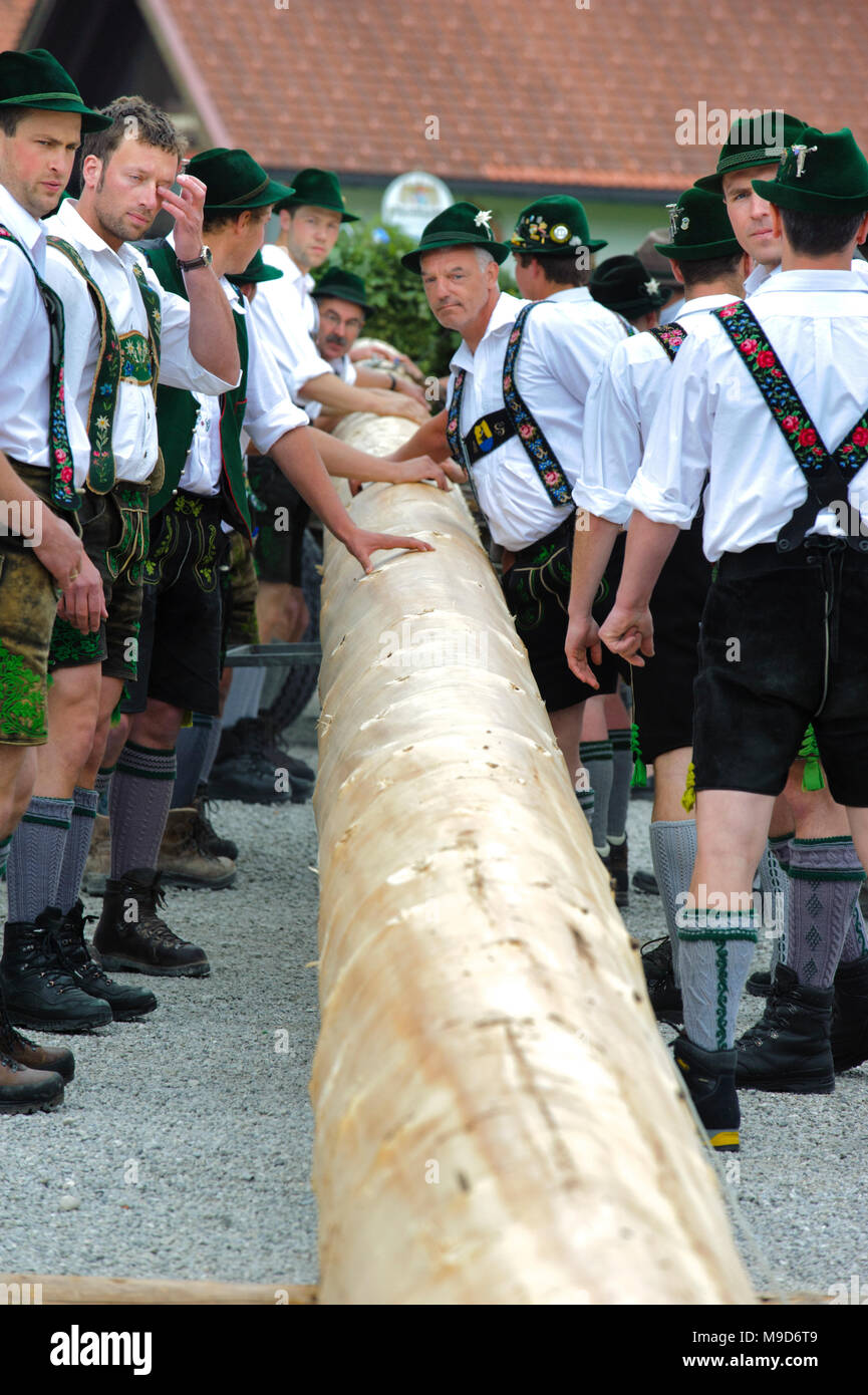 Maibaum aufstellen in Oberbayern Stock Photo