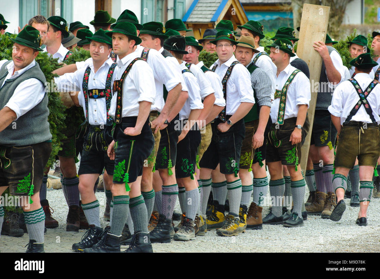 Maibaum aufstellen in Oberbayern Stock Photo