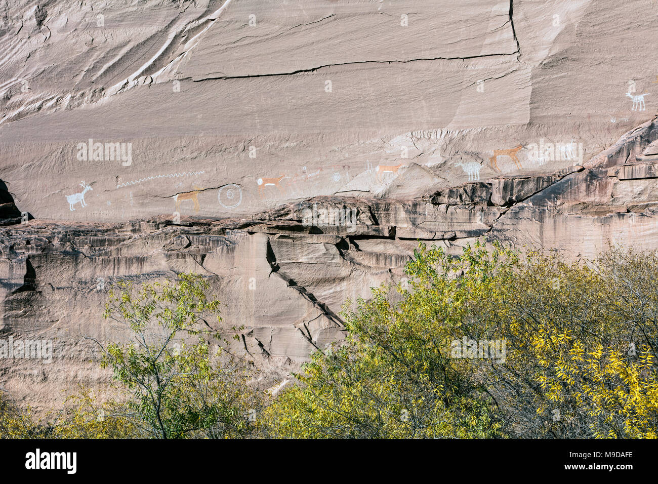 Pictographs -  Canyon de Chelly Stock Photo