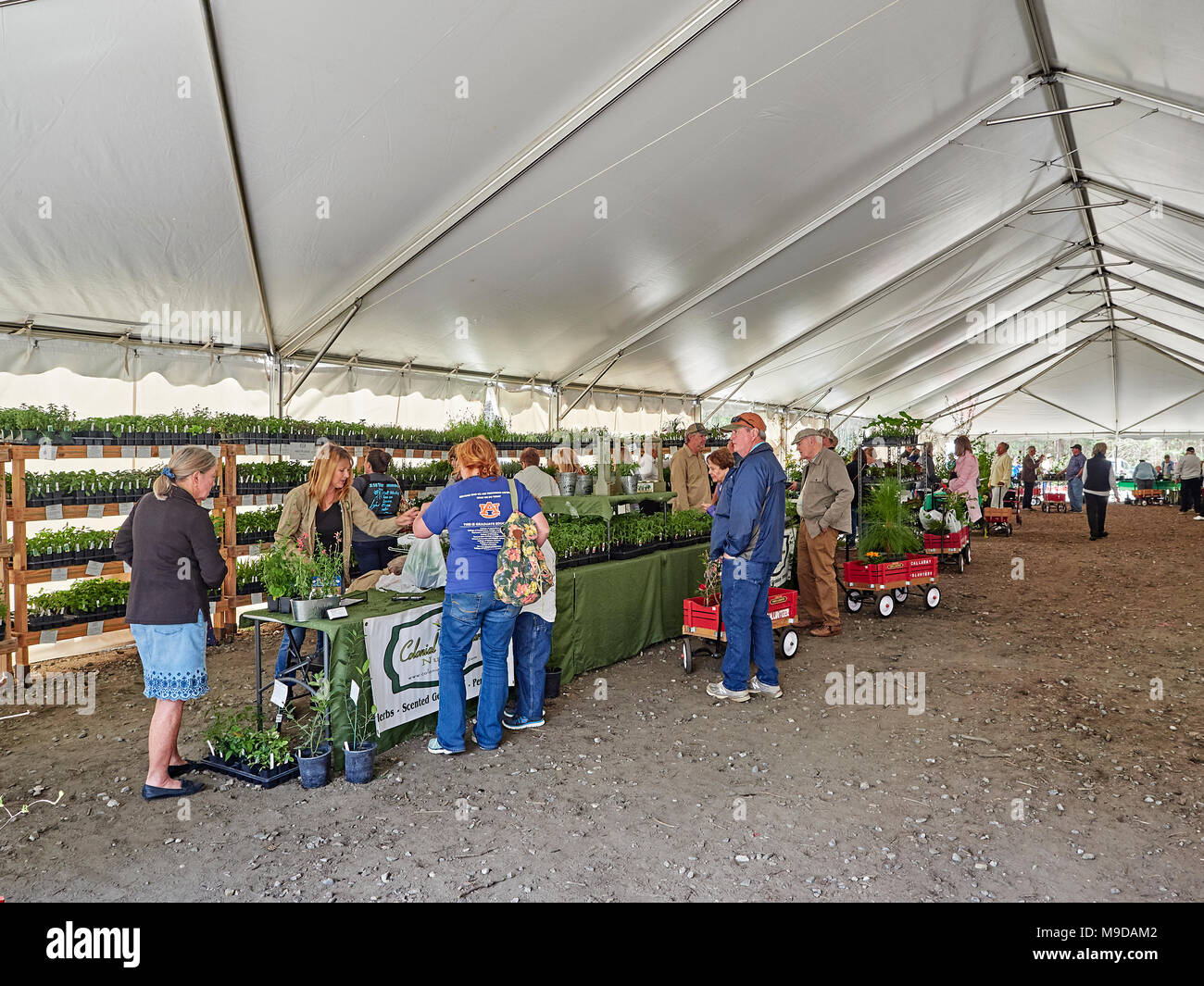 People shopping for garden plants in a large tent at the Spring plant sale in Callaway Gardens, Pine Mountain Georgia, USA. Stock Photo