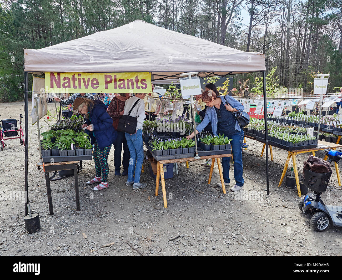 People shop for garden plants and flowers at the Spring plant and flower sale in Callaway Gardens, Pine Mountain GA, USA. Stock Photo