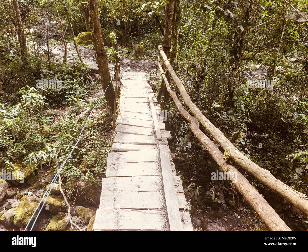 wooden bridge, footphath in forest landscape , jungle bridge - Stock Photo