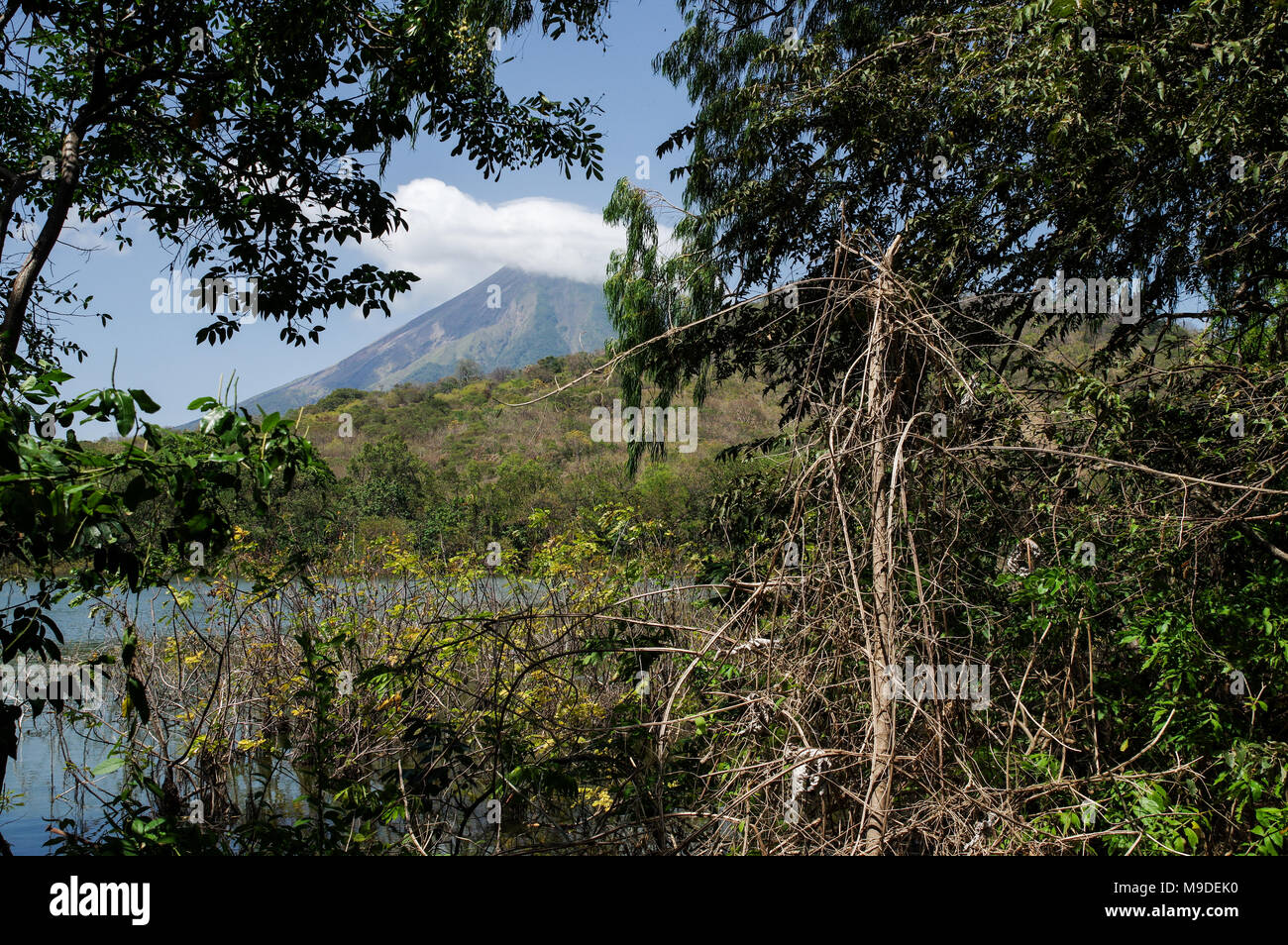 Volcan Concepcion visible from Charco Verde Nature Reserve on Ometepe Island - Nicaragua, Central America Stock Photo