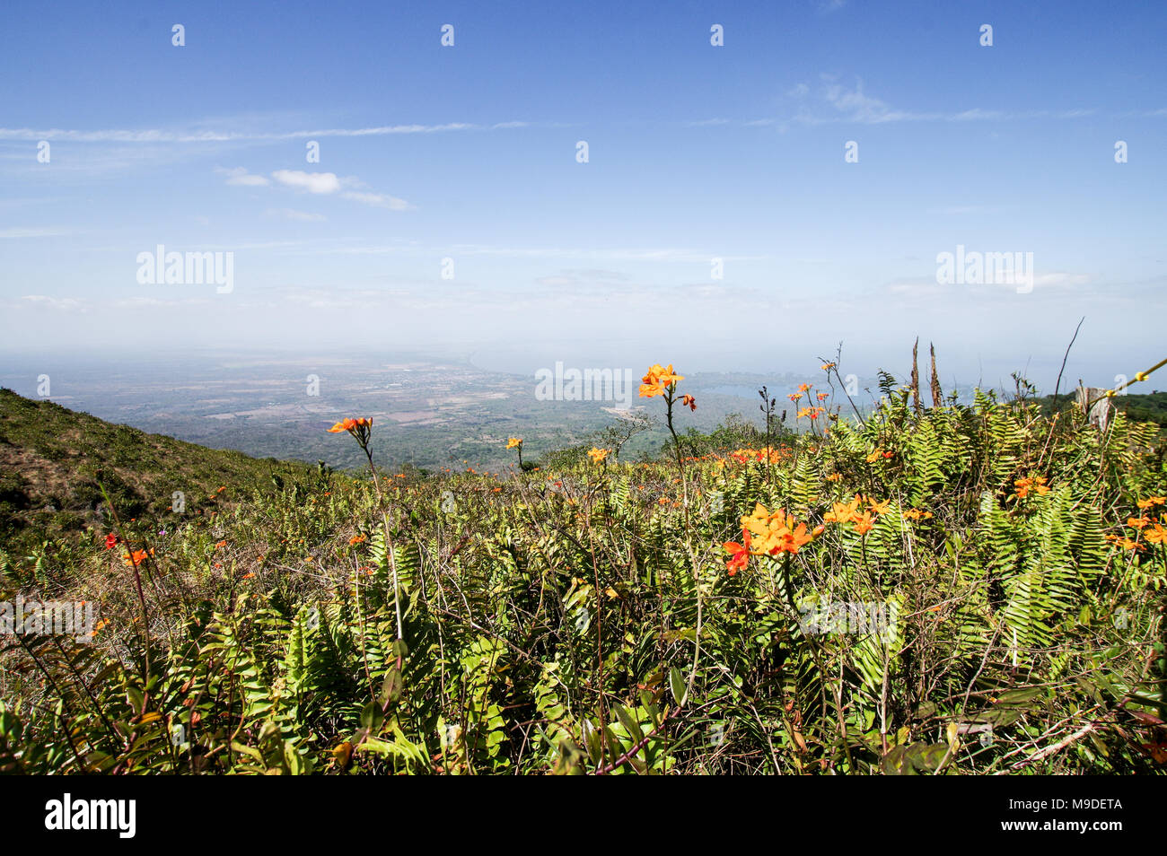 Beautiful nature and views from a vista point on top of Mombacho volcano in Nicaragua, Central America Stock Photo