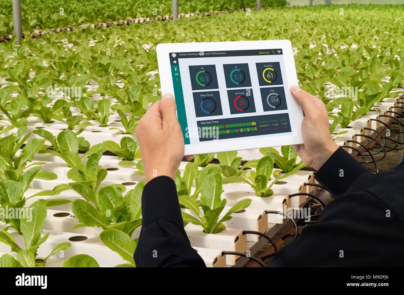 iot smart industry robot 4.0 agriculture concept,industrial agronomist