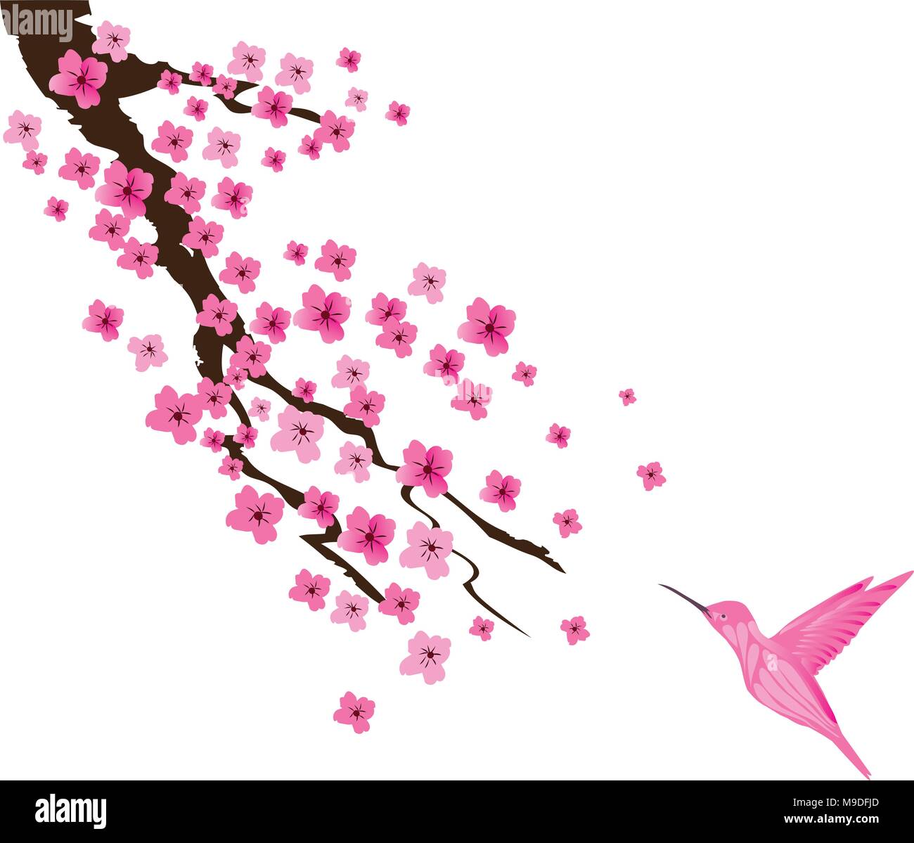 vector illustration of a cherry blossom with pink hummingbird Stock Vector