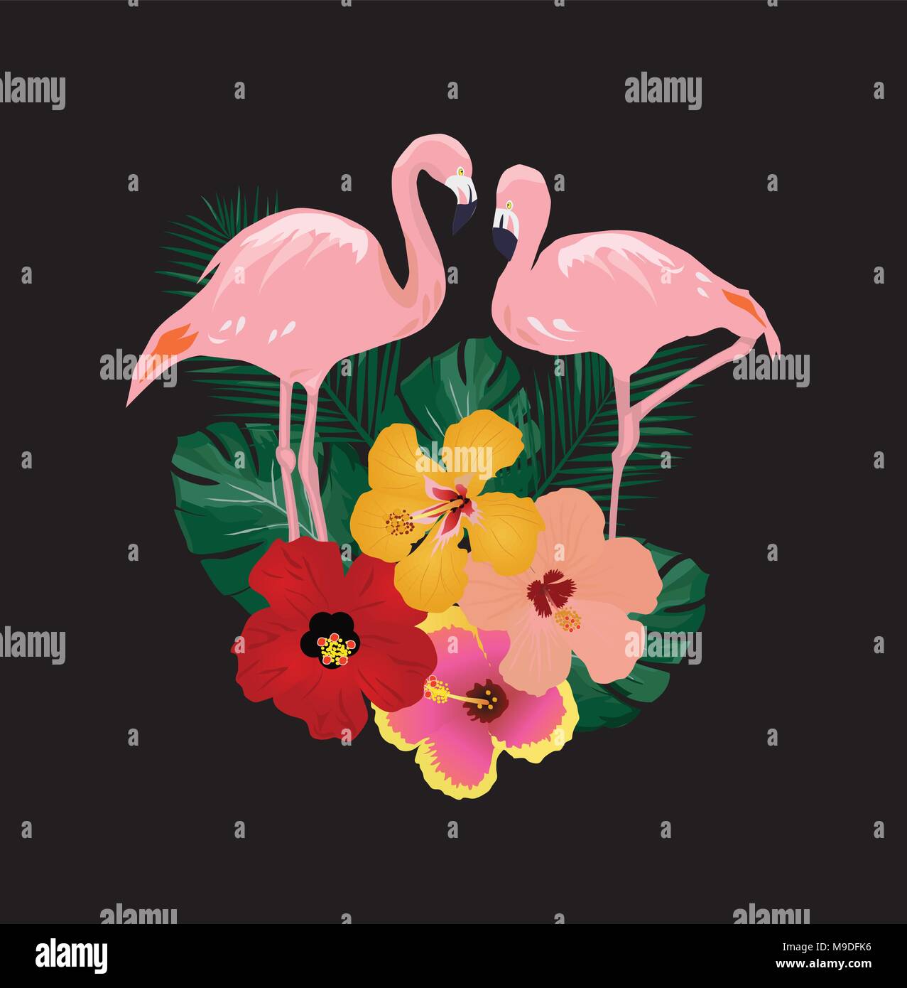 vector illustration of tropical flamingos, flowers on black background ...