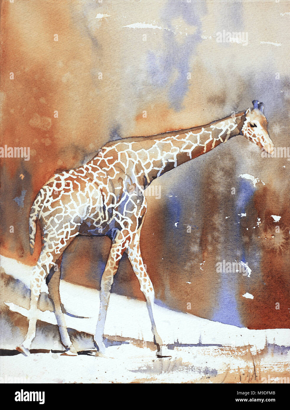 Fine art watercolor painting of giraffe at zoo. Art painting of giraffe
