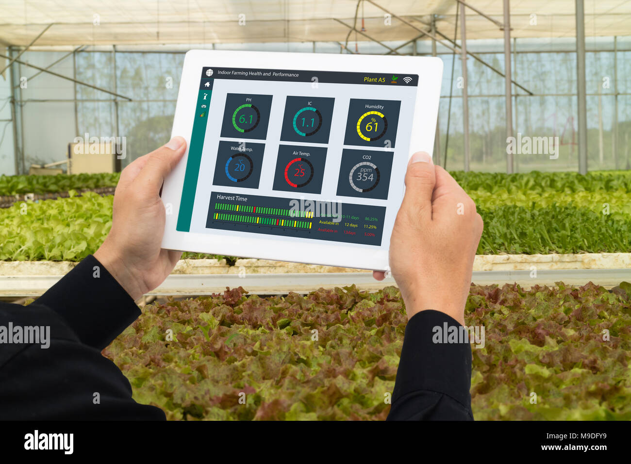 iot smart industry robot 4.0 agriculture concept,industrial agronomist