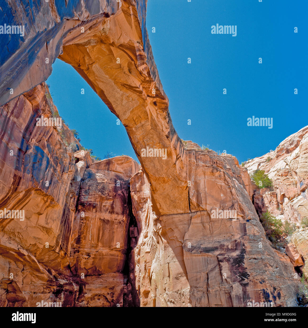 escalante natural bridge near escalante, utah Stock Photo