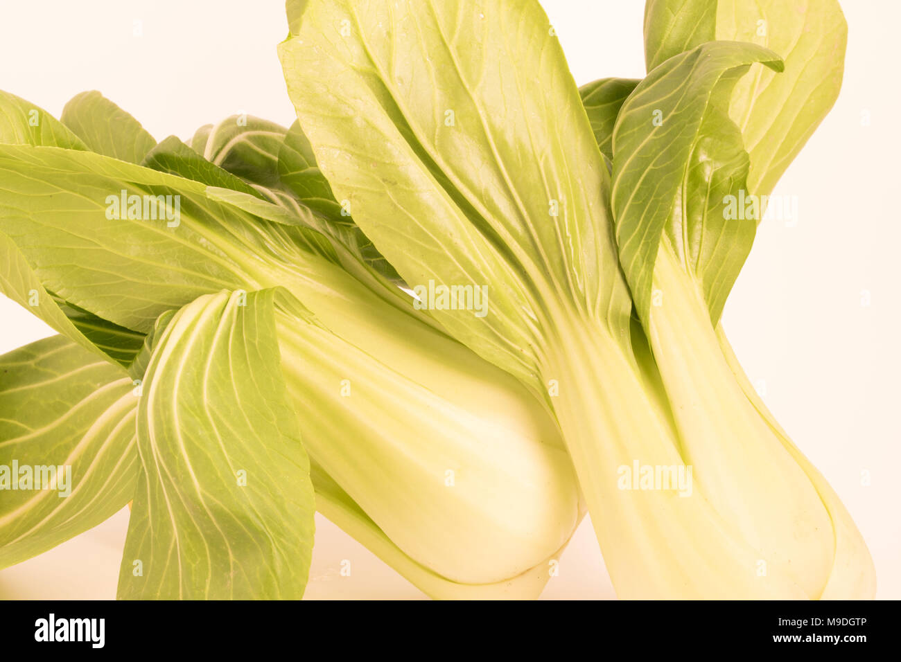 Cauliflower ear hires stock photography and images Alamy