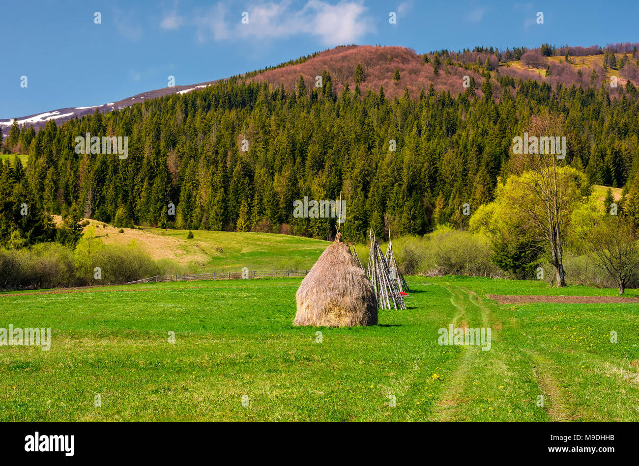 haystack on a grassy meadow among the forest in mountains. lovely rural ...