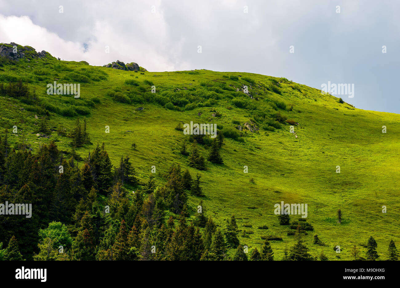 Hillside situation hi-res stock photography and images - Alamy