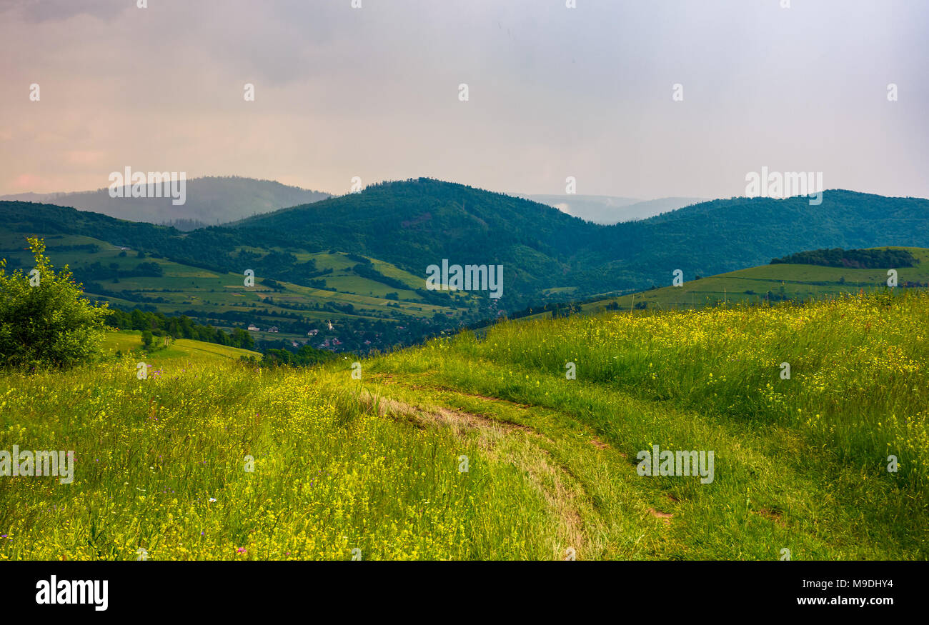 country road through rural field. lovely mountainous landscape on an overcast day Stock Photo