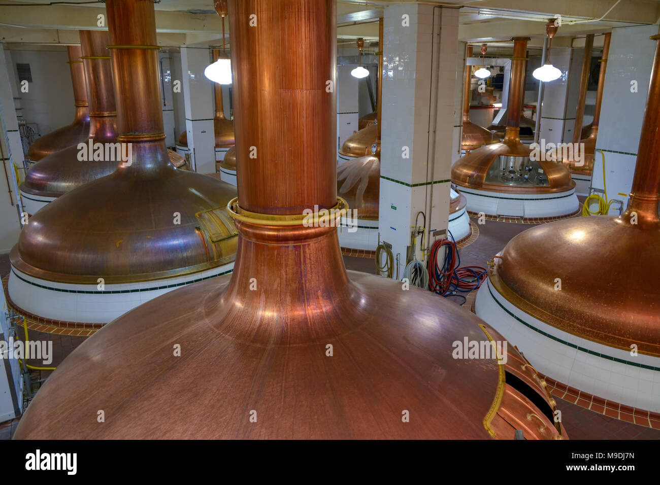 https://c8.alamy.com/comp/M9DJ7N/large-copper-pots-used-in-the-process-of-making-beer-M9DJ7N.jpg
