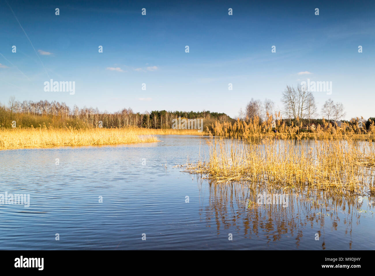 Alley pond park hi-res stock photography and images - Alamy