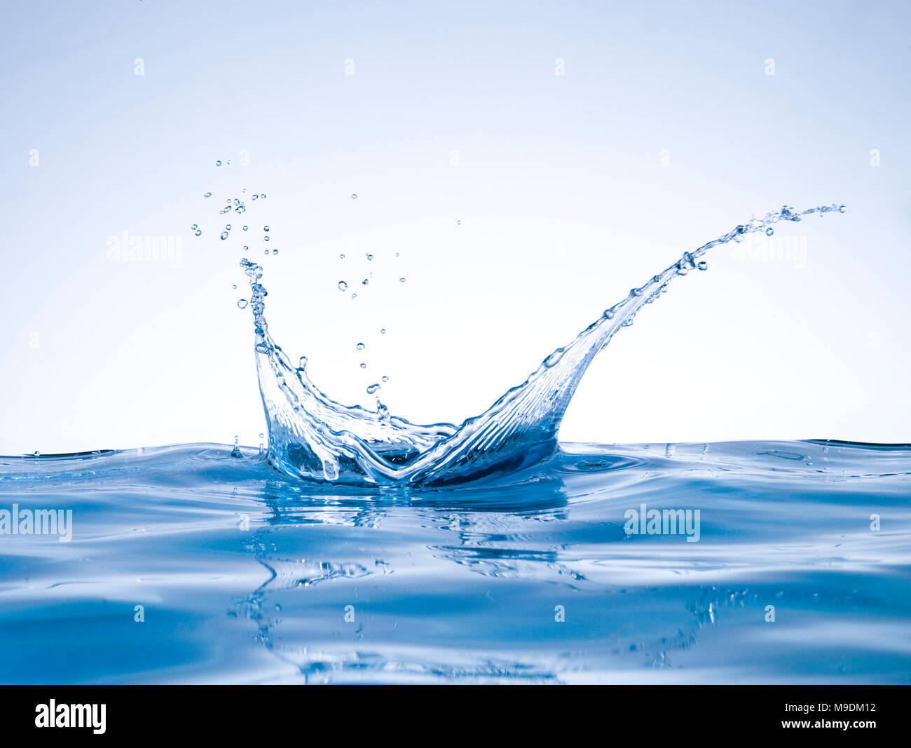 abstract blue color water splash crown shape isolated on empty clean