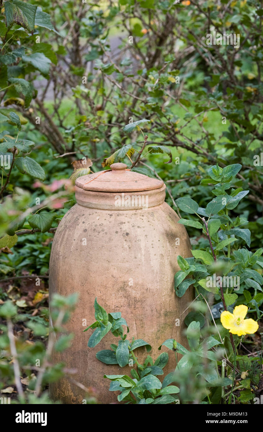 Old Rhubarb forcing pot in the corner of the garden. Stock Photo