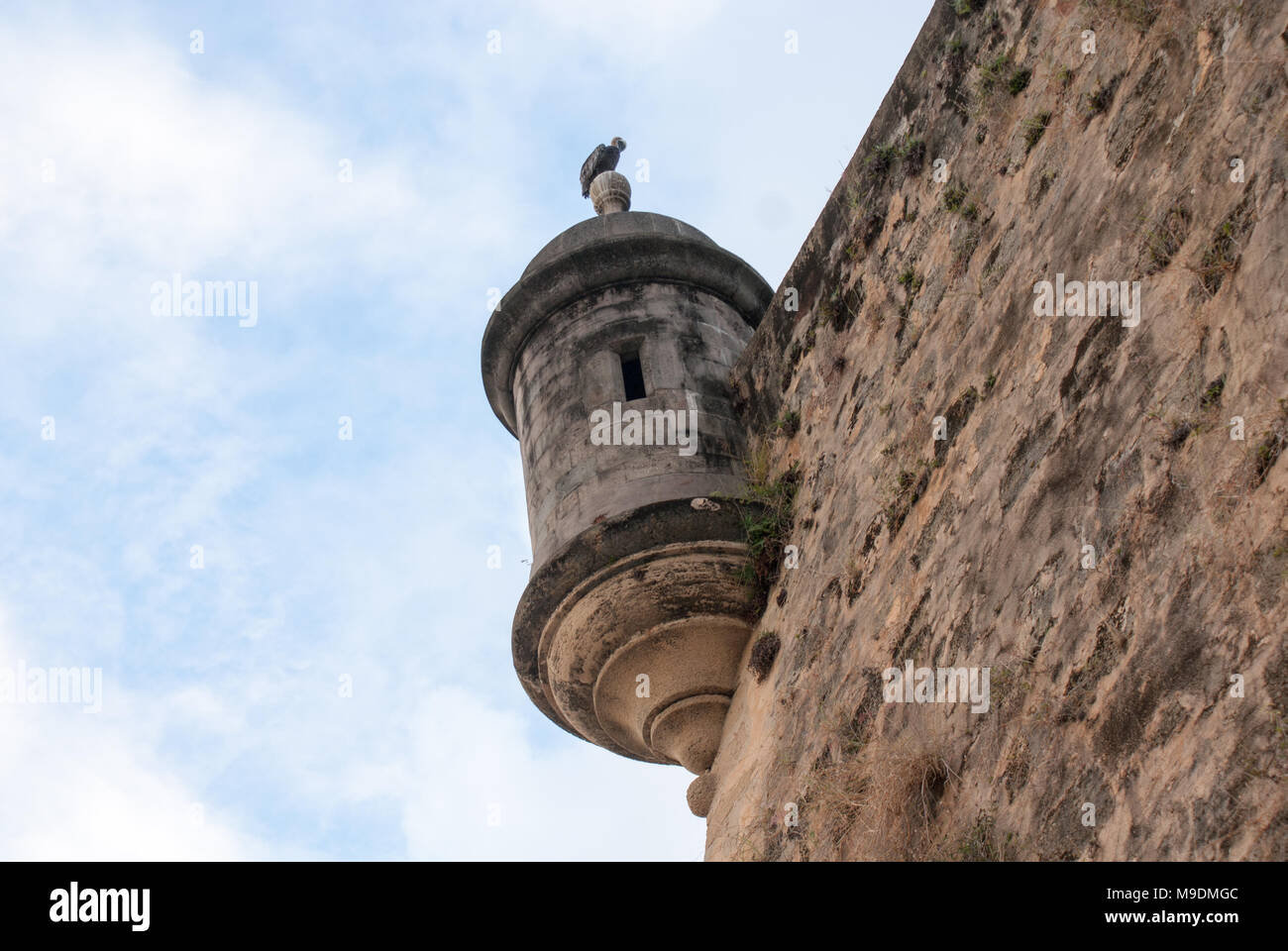 Lower view of a sentry box (garita) with a pelican atop in San Juan, Puerto Rico Stock Photo