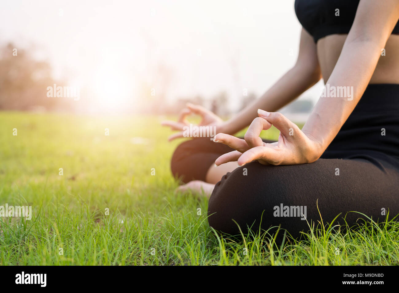 Women are exercising with lotus yoga poses on beautiful green grass and light sunshine. In the evening. healthy concept. Stock Photo