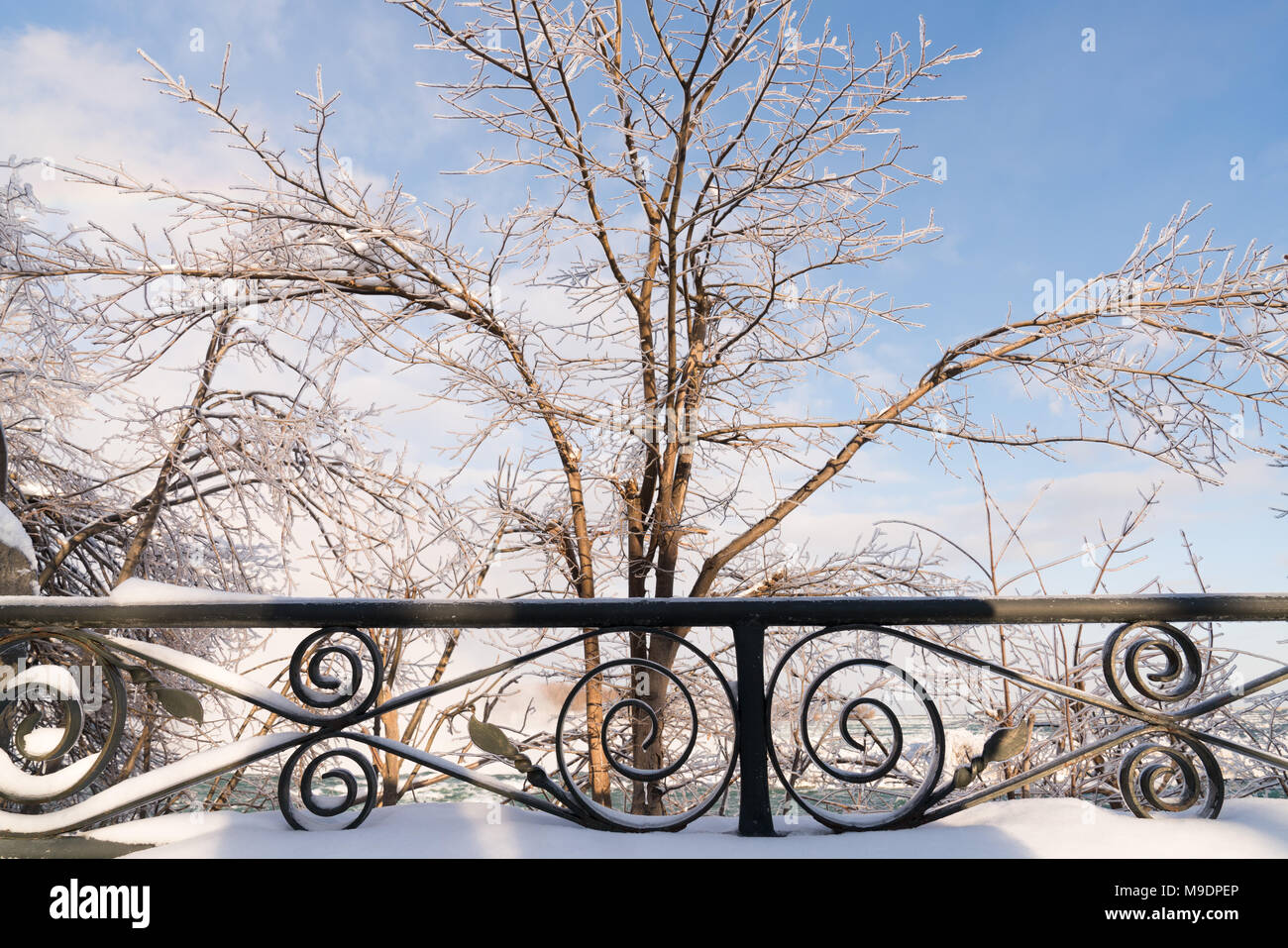 Snow and frozen trees with Niagara Falls behind Stock Photo