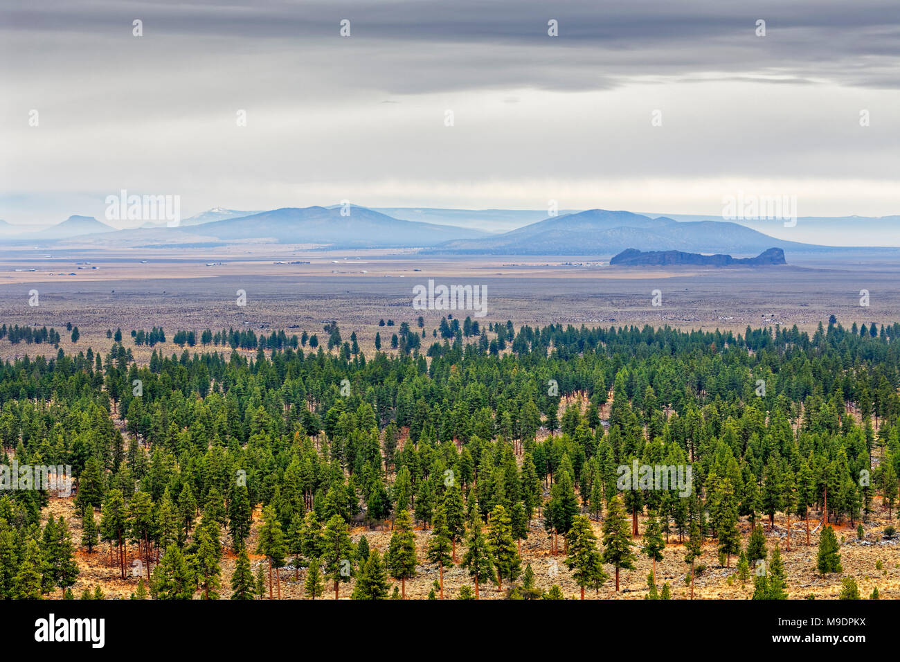 43,069.07799 distant Fort Rock State Park ancient lava cone, flow (far right), struggling Ponderosa pine trees forest creep into Oregon high desert Stock Photo