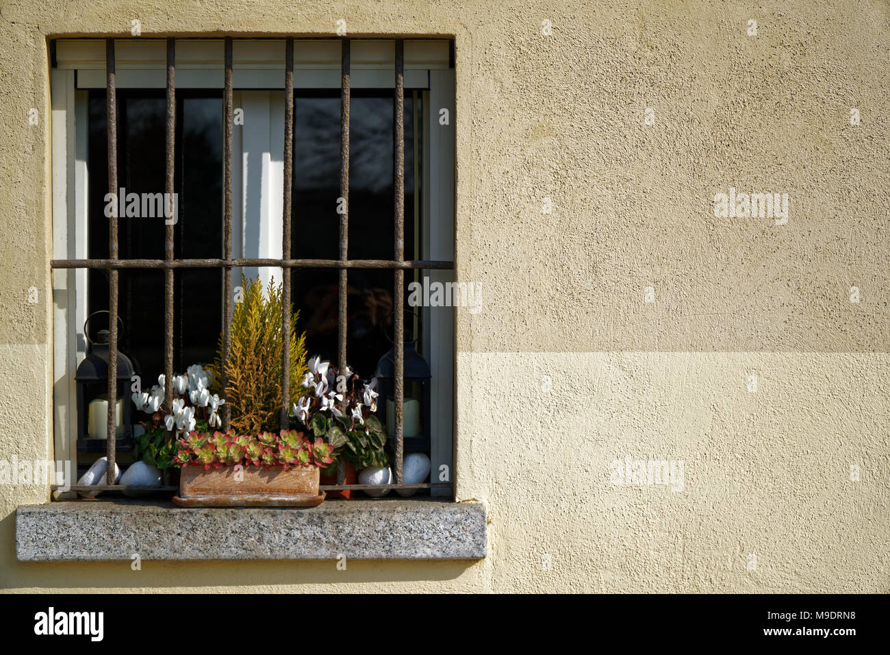 Vintage grill window and dry flower in flowerpot on window sill, sunny