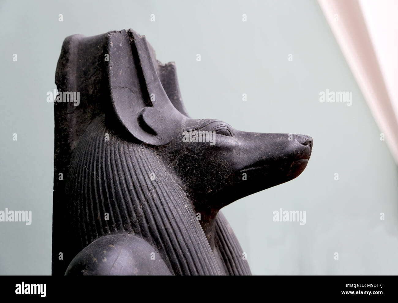 Head of Anubis, the jackal-headed. God of embalming. Temple of Luxor, reign of Amenophis III (1403-1365 BC). Diorite. Detail from statue. Stock Photo