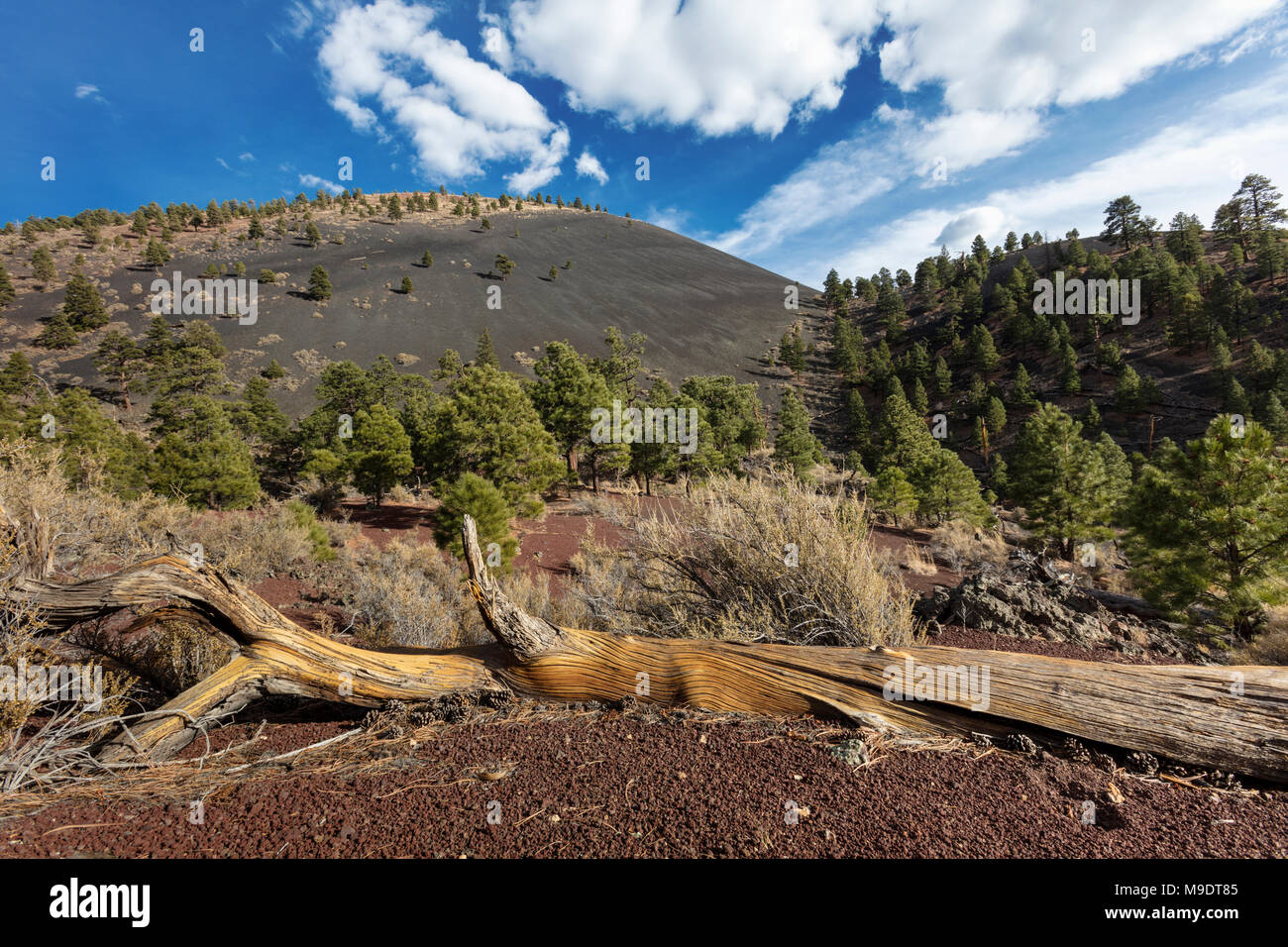 Colorful Cinder Cones, Sunset Crater National Monument, AZ Stock Photo