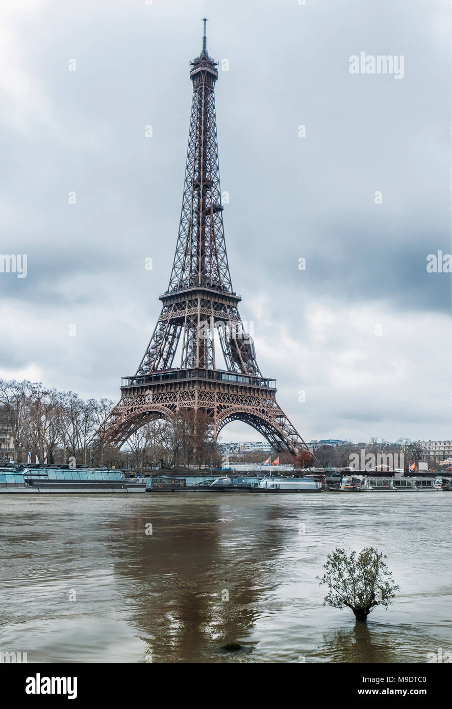 Eiffel Tower during Paris floods of winter 2018 towering above a small tree peeping out of the swirling waters of the high river Seine Stock Photo