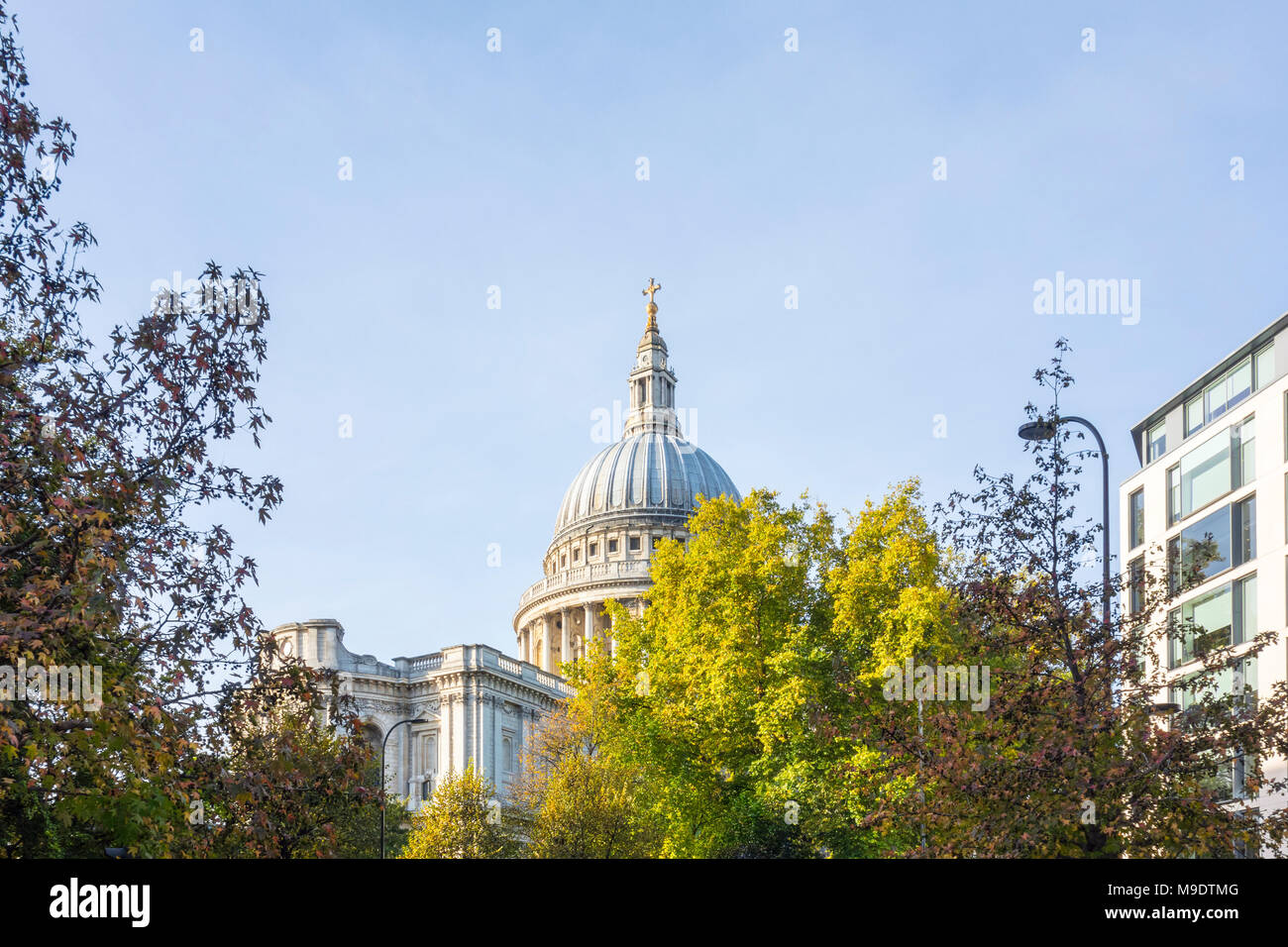 St Paul's Cathedral dome viewed behind trees. City of London, UK Stock Photo