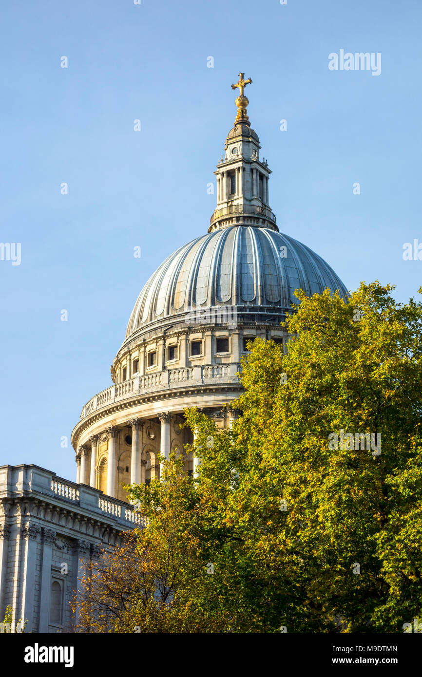 St Paul's Cathedral dome viewed behind trees. City of London, UK Stock Photo