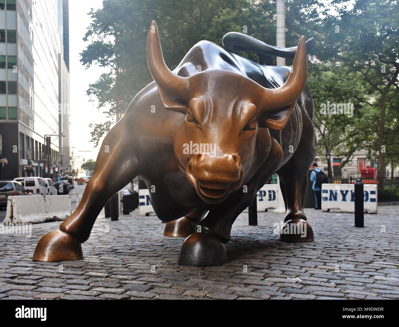 The Charging Bull statue in downtown Manhattan on Wall Street in New