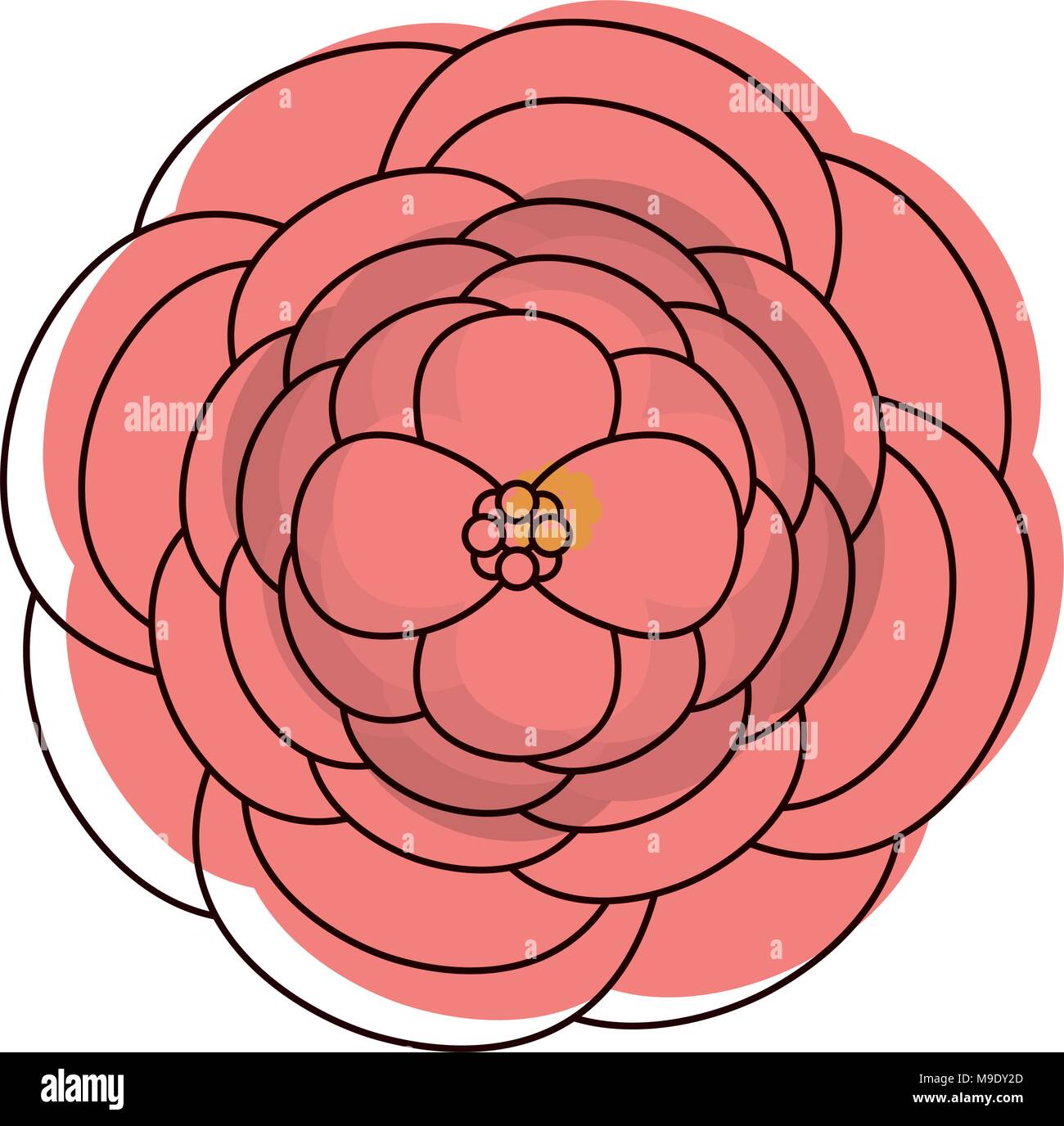 moved color beautiful rose with nature petals design Stock Vector Image ...