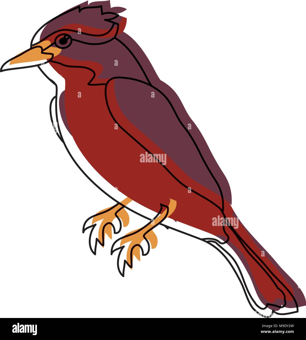[Get 26+] Cartoon Image Cardinal