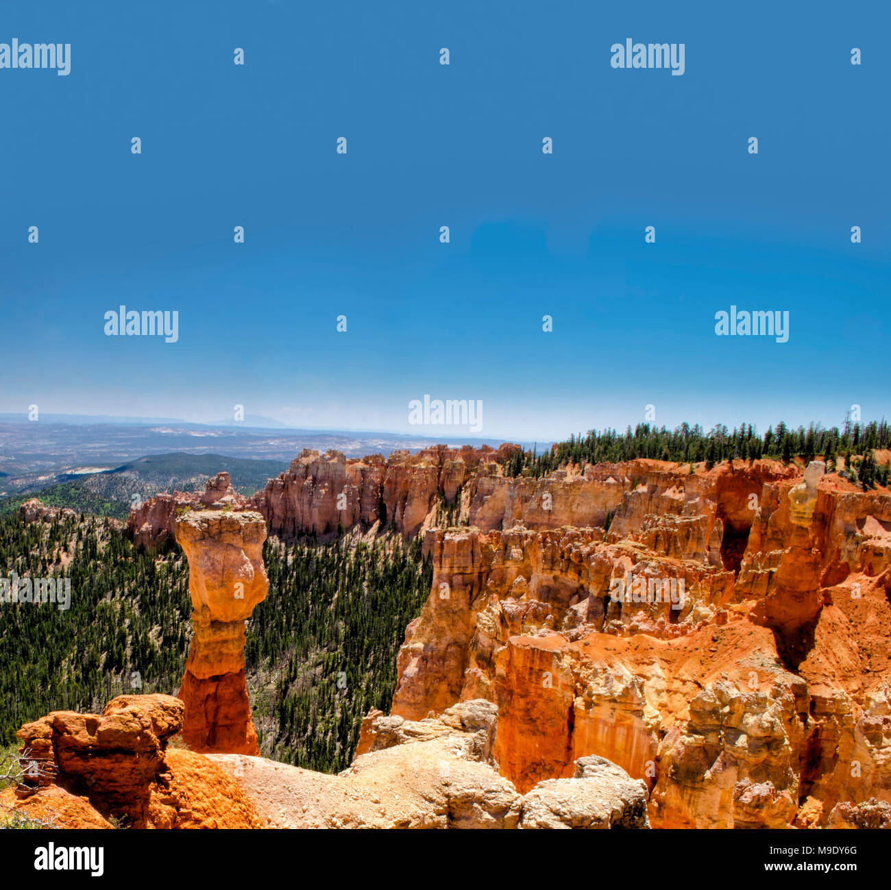Scenic overlook at a hoodoo and various orange and red rock formations with a green valley below under blue sky with clouds. Stock Photo