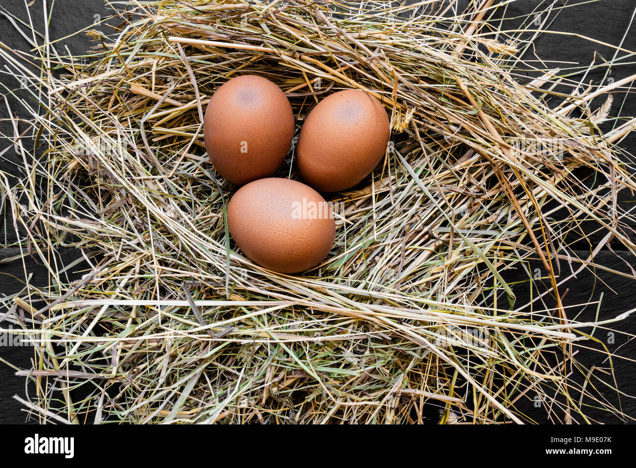 Three brown chicken eggs in hay nest Stock Photo - Alamy