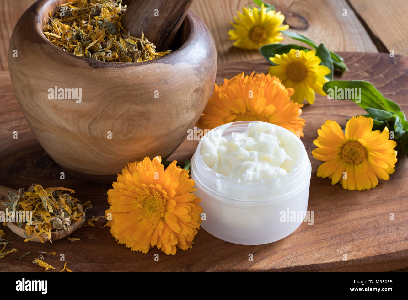 A jar of calendula cream, with fresh and dried calendula flowers in the