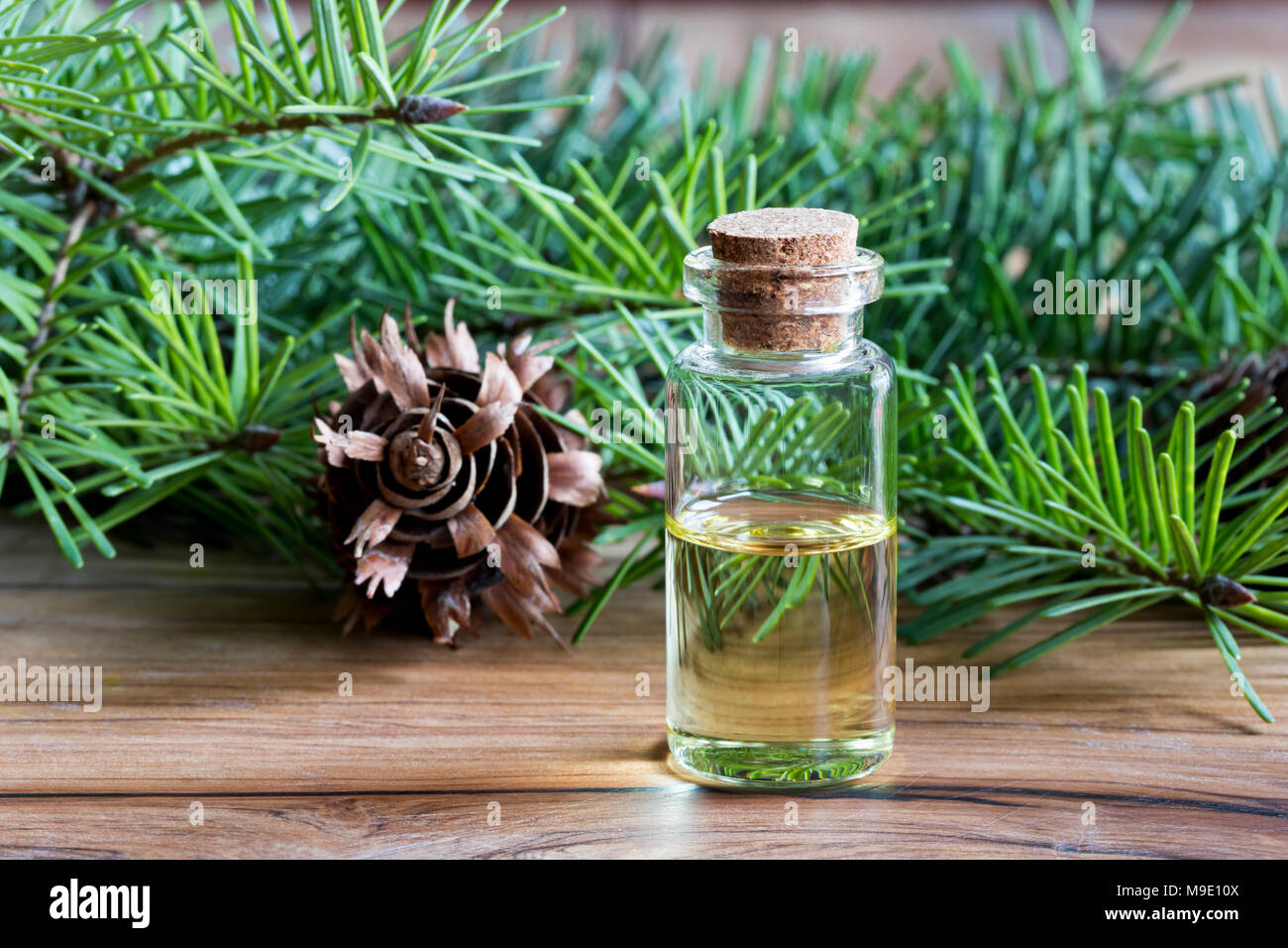 Douglas Fir Fragrance Oil main image 0