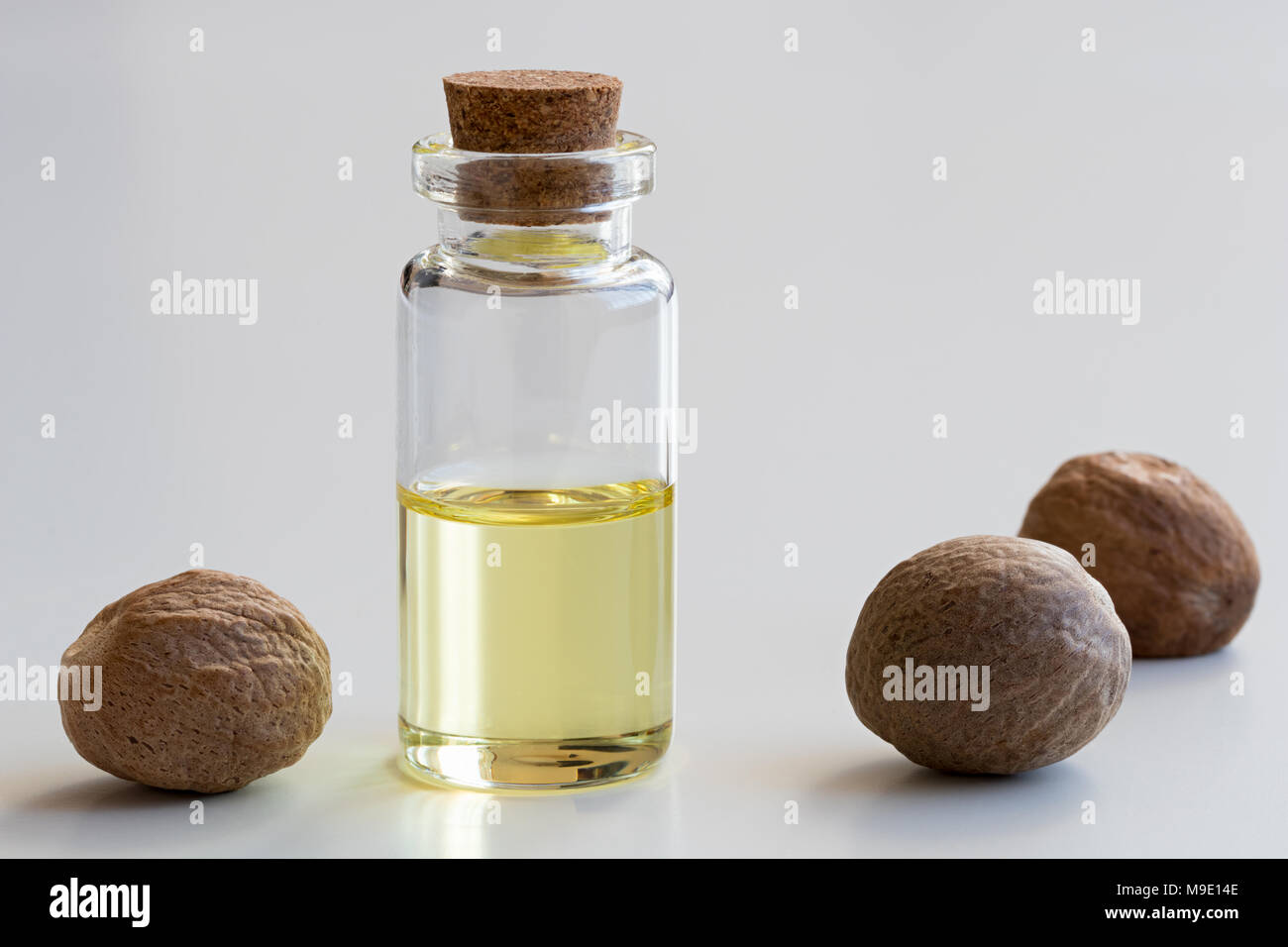 A transparent bottle of nutmeg essential oil with nutmeg seeds on white background Stock Photo
