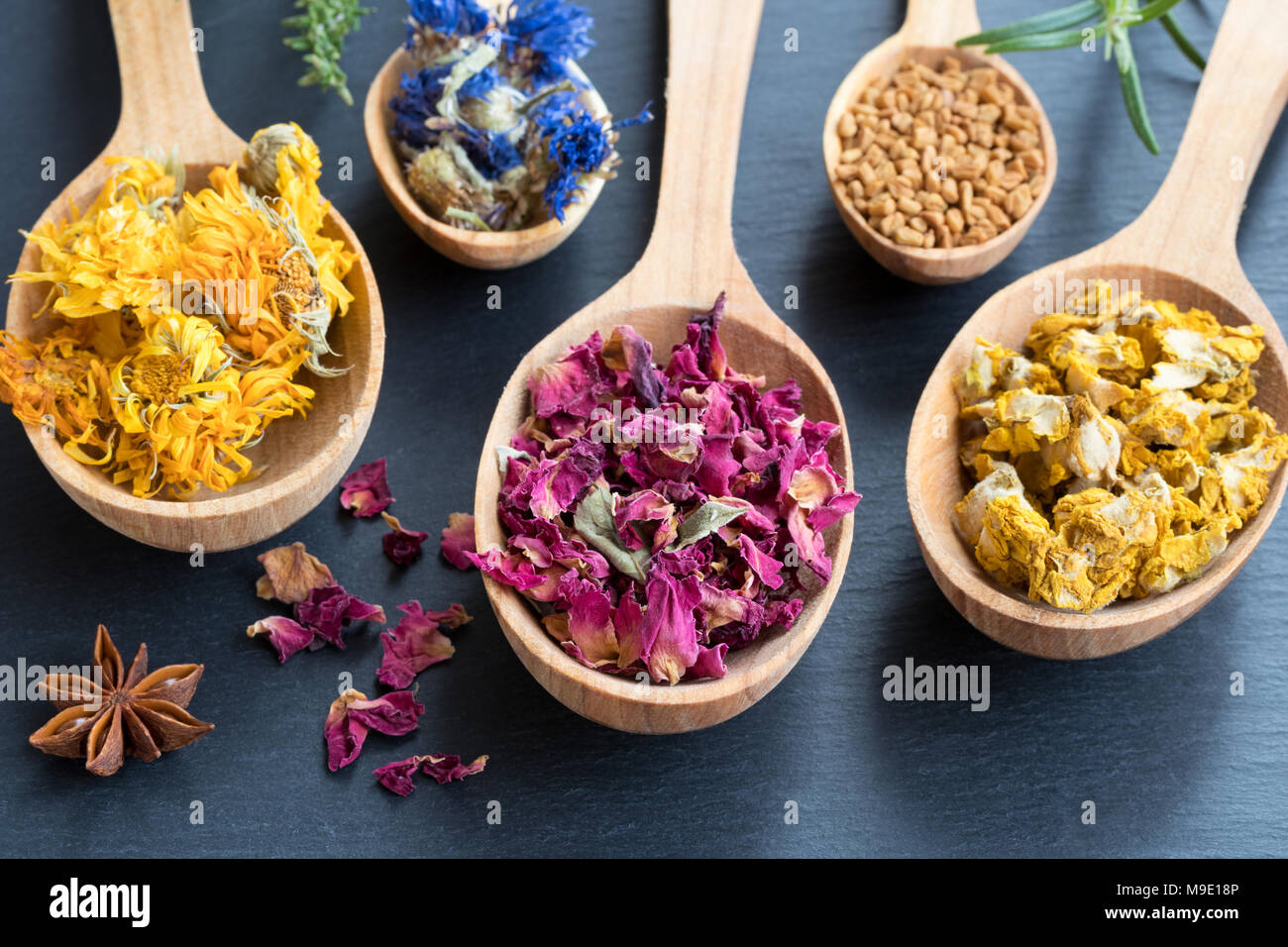 Herbs on wooden spoons on a dark background. Dried calendula, cornflower, rose petals, fenugreek seeds, mullein, star anise, fresh rosemary and thyme. Stock Photo