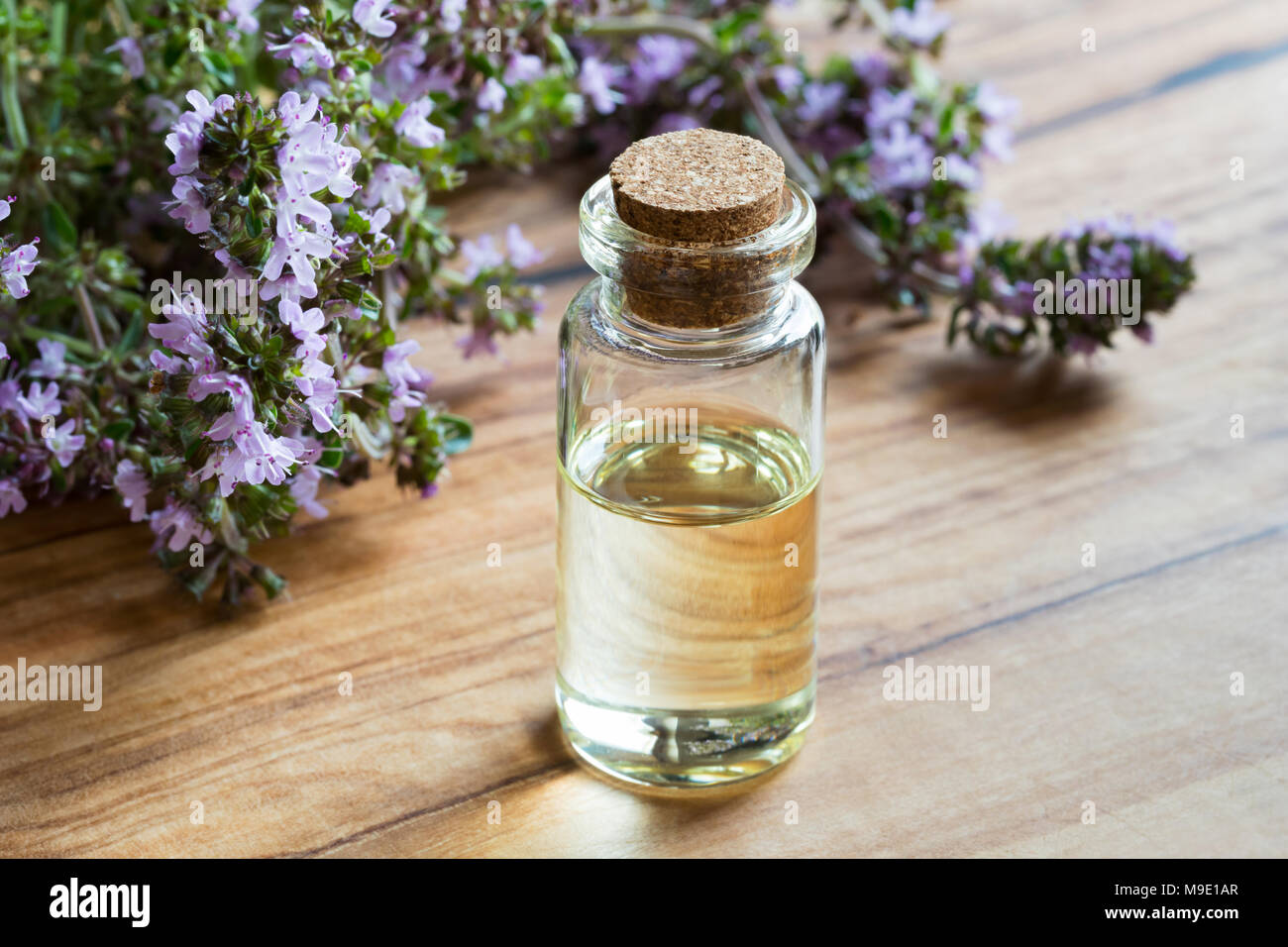 A bottle of thymus serpyllum (creeping thyme) essential oil with blooming thymus serpyllum twigs