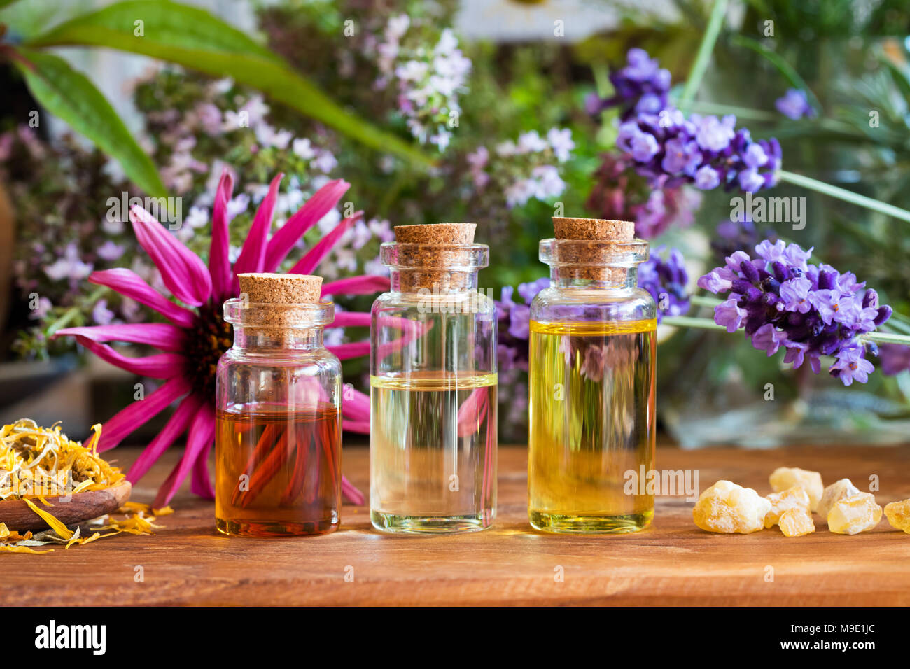 Bottles of essential oil with dried calendula, frankincense resin