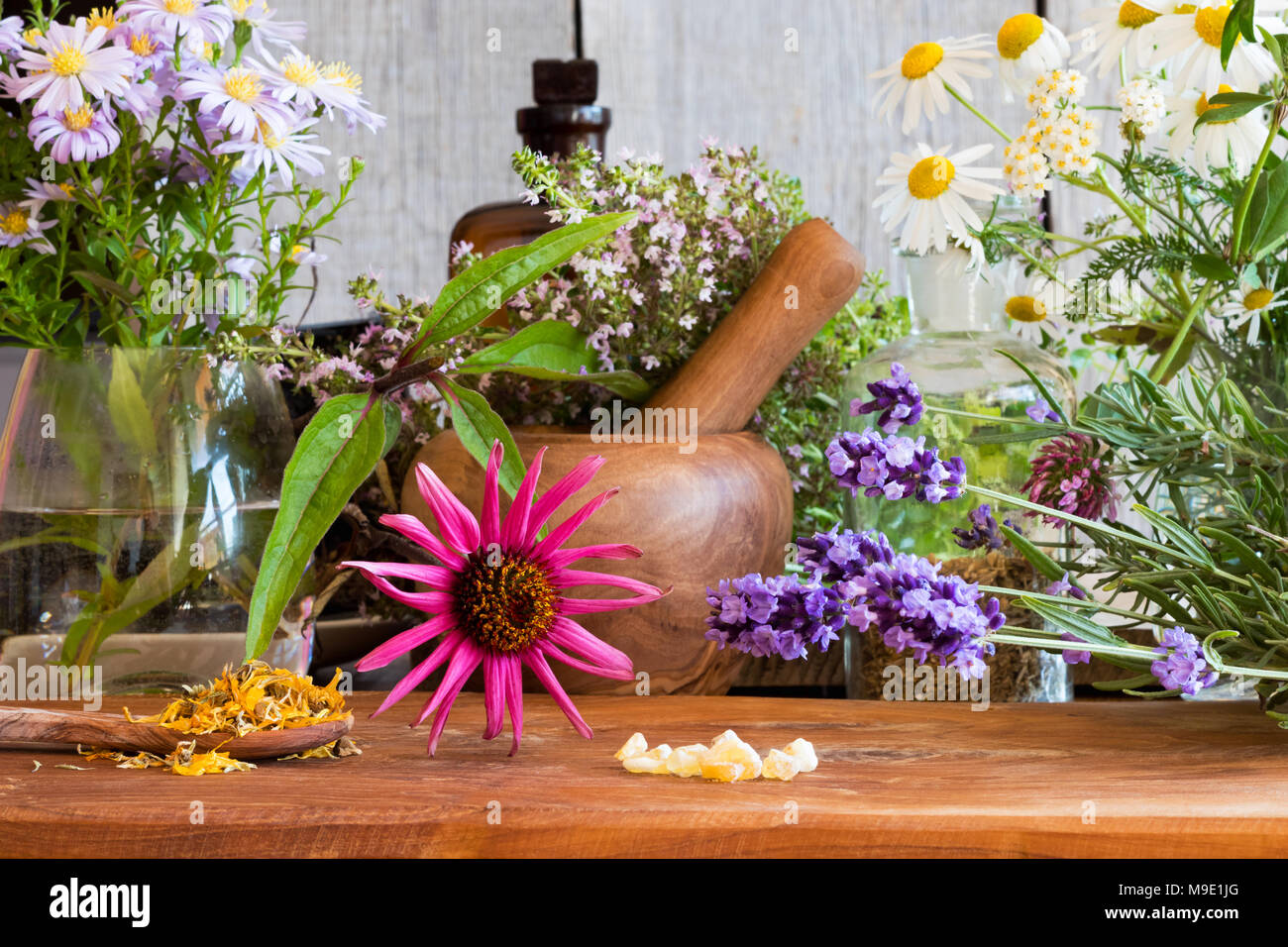Echinacea, lavender, chamomile, yarrow, creeping thyme, dried calendula