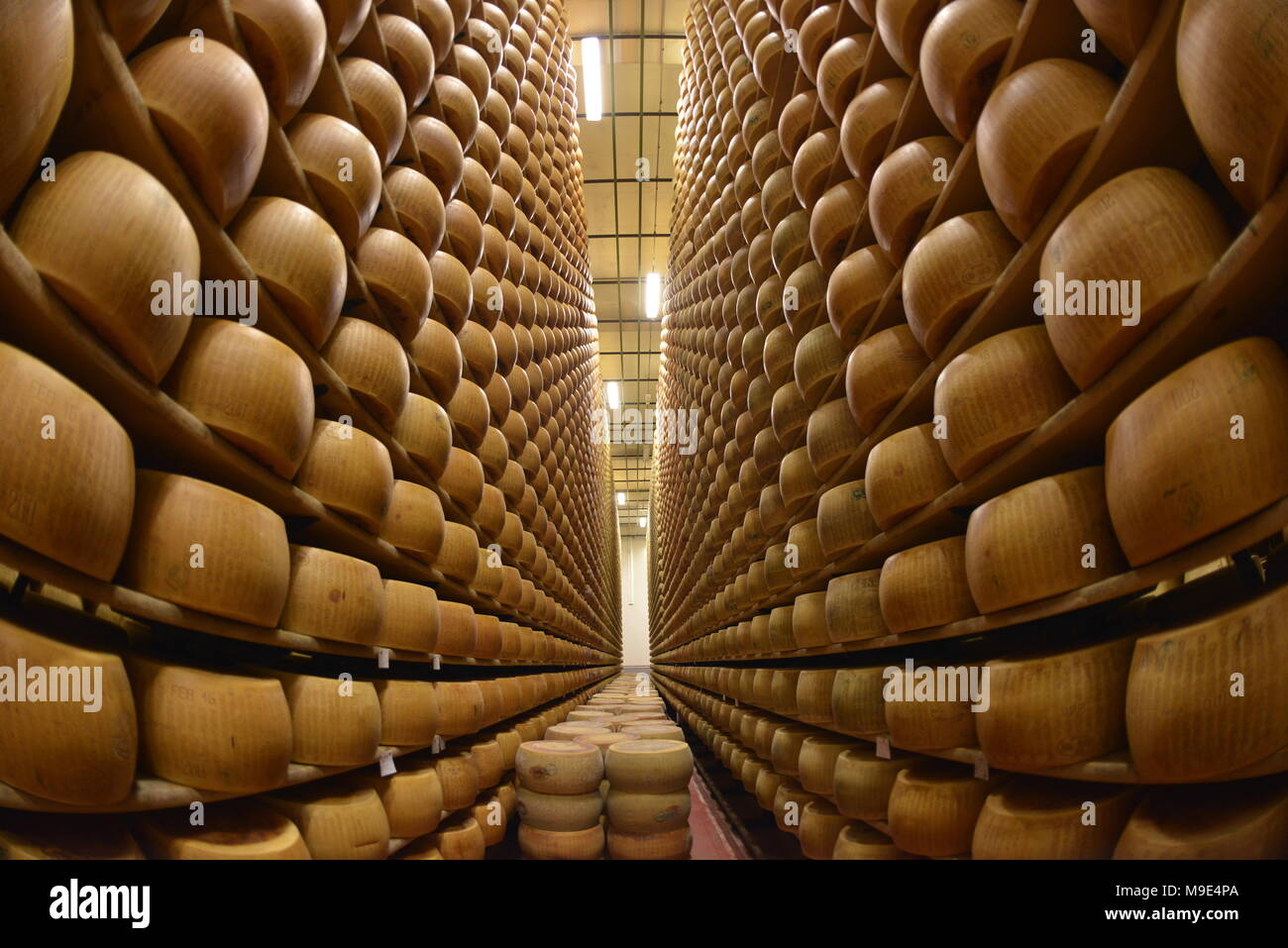 Parmesan cheese storage in Reggio Emilia, Italy Stock Photo Alamy