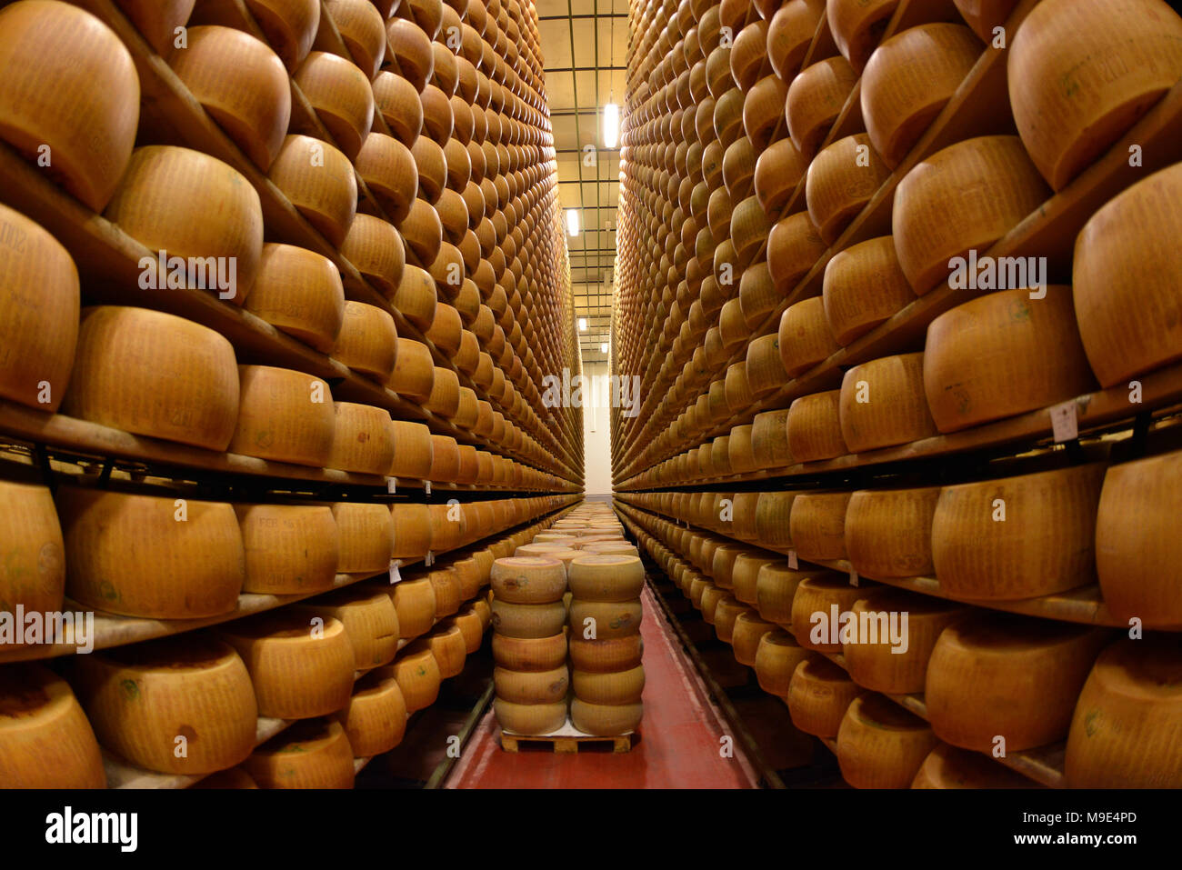 Parmesan cheese storage in Reggio Emilia, Italy Stock Photo Alamy