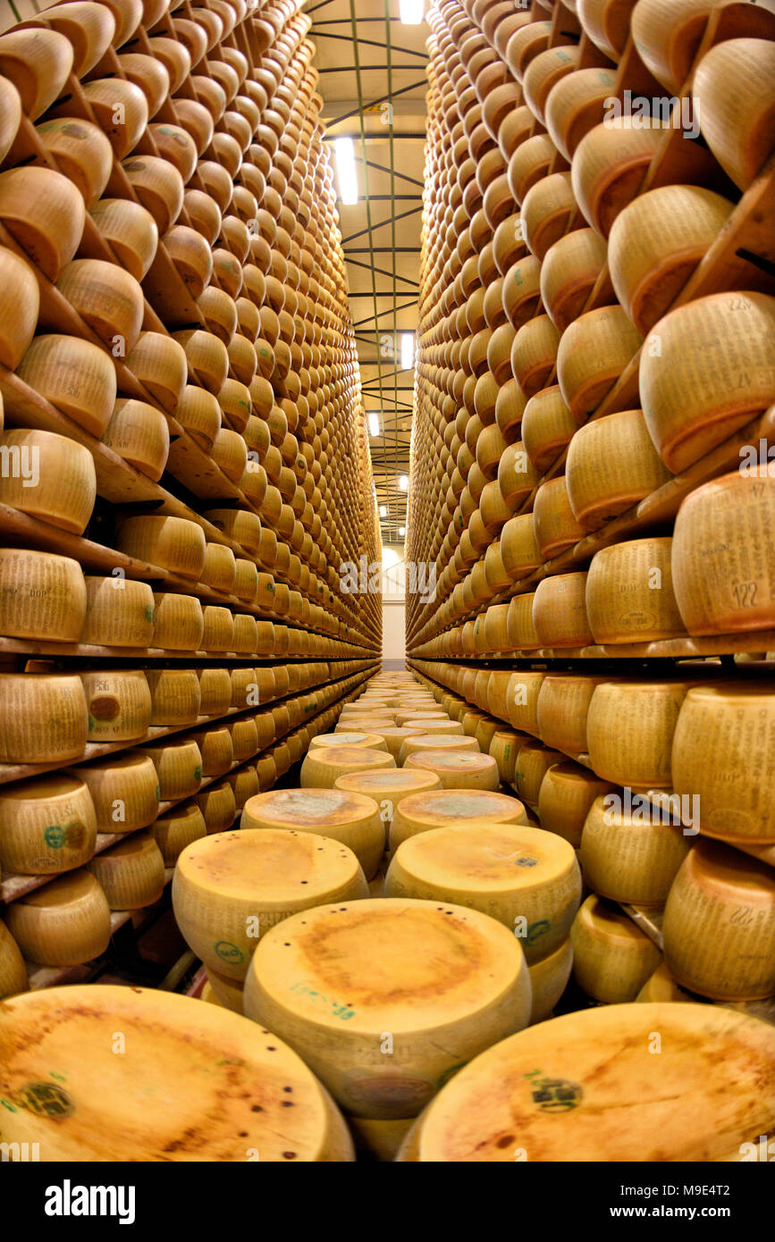 https://c8.alamy.com/comp/M9E4T2/parmesan-cheese-storage-in-reggio-emilia-italy-M9E4T2.jpg