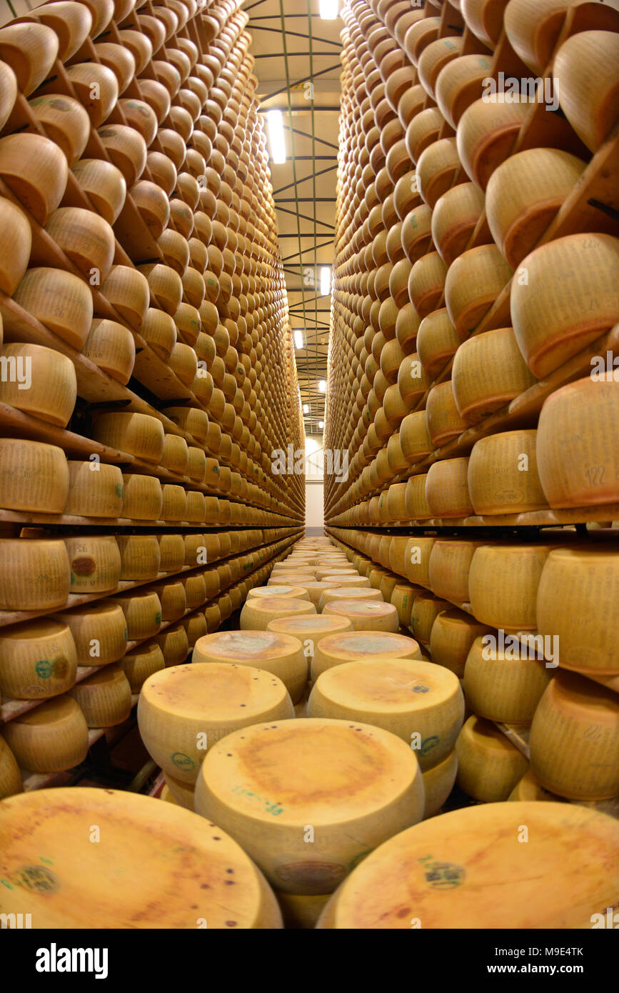 Parmesan cheese storage in Reggio Emilia, Italy Stock Photo Alamy